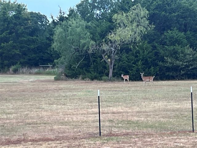 16857 Fm 639 E, Purdon, TX 76679