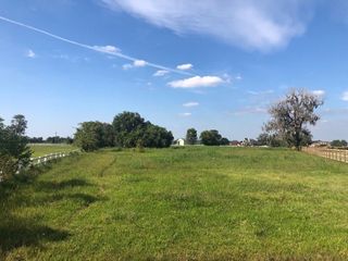 2934 Horse Trail Drive, Rosharon, TX 77583