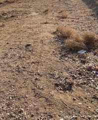 0 Newgrove, Del Sur, CA 93536