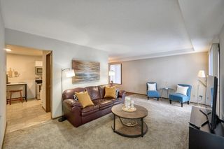 1117 Trailwood S, Hopkins, MN 55343