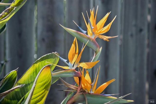 29 Andreas Cir, Novato, CA 94945