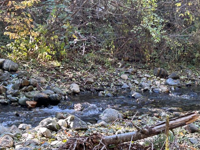 30 Bear Canyon Road, Weaverville, CA 96093