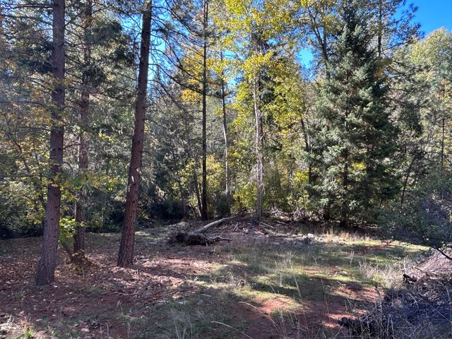 30 Bear Canyon Road, Weaverville, CA 96093