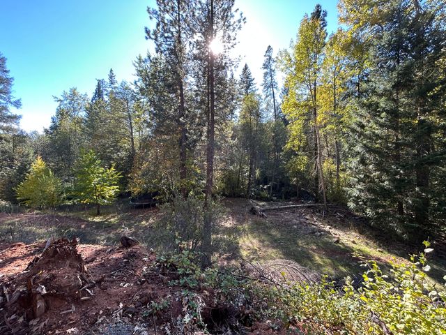 30 Bear Canyon Road, Weaverville, CA 96093