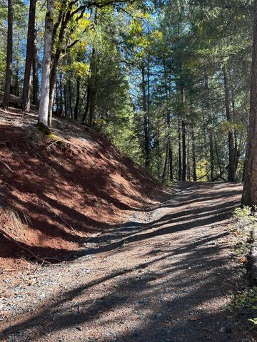 30 Bear Canyon Road, Weaverville, CA 96093