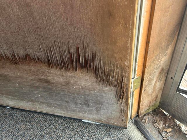 30 Bear Canyon Road, Weaverville, CA 96093