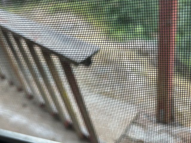 30 Bear Canyon Road, Weaverville, CA 96093