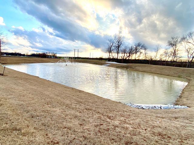 615 Metallic Tree Lane, Van Alstyne, TX 75495