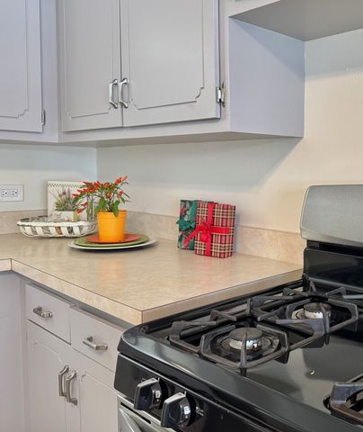 3051 S Scott Street, Des Plaines, IL 60018