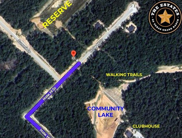 191 Hollow Hill Road, New Waverly, TX 77358