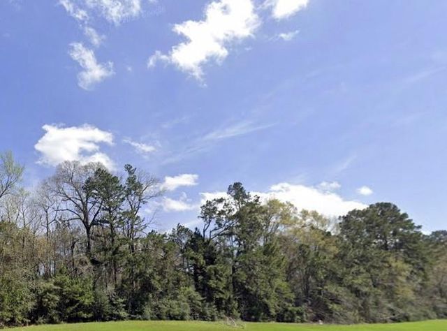 191 Hollow Hill Road, New Waverly, TX 77358