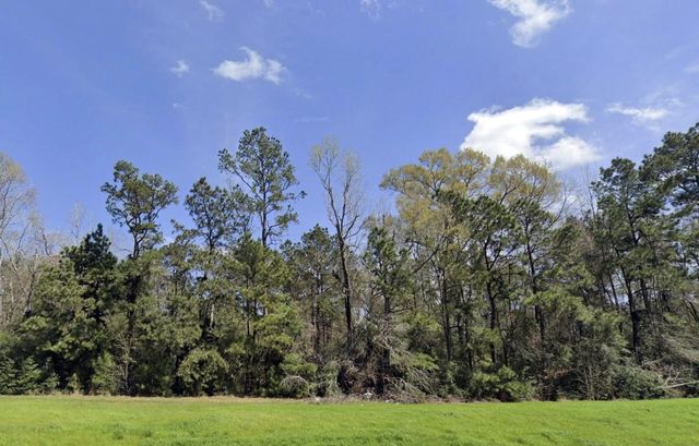 191 Hollow Hill Road, New Waverly, TX 77358