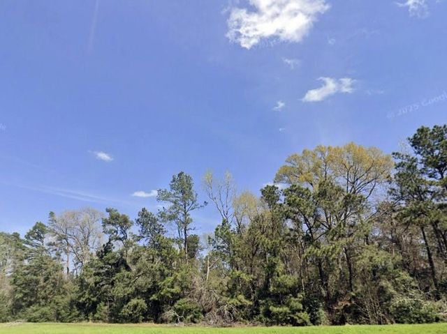 191 Hollow Hill Road, New Waverly, TX 77358