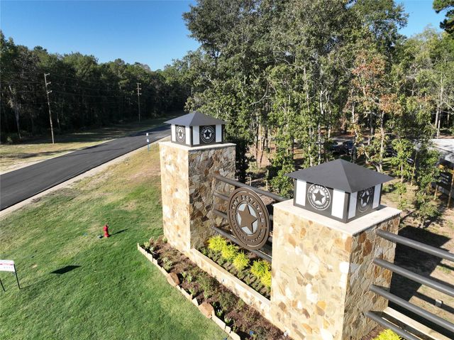 191 Hollow Hill Road, New Waverly, TX 77358