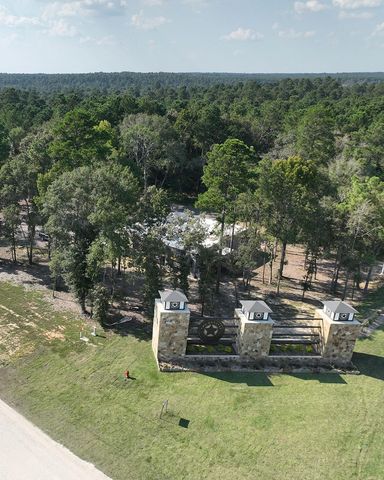191 Hollow Hill Road, New Waverly, TX 77358