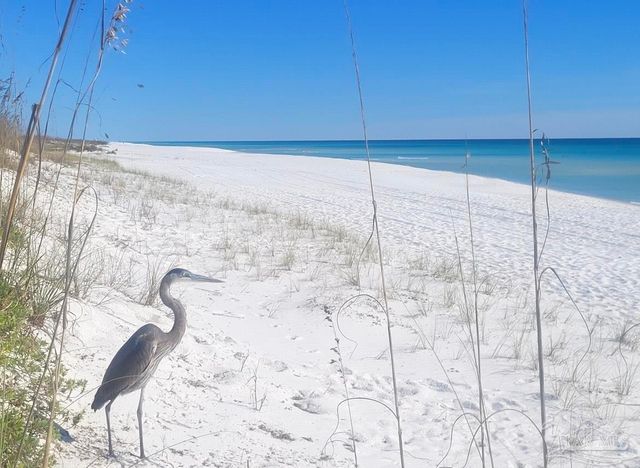 1428 Alabama St, Navarre Beach, FL 32566