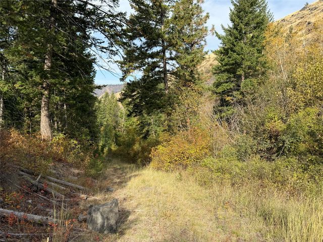 nhn McLaughlin Creek Road, Paradise, MT 59856 property photo