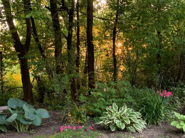 712 W Circle Drive, Montgomery, MN 56069