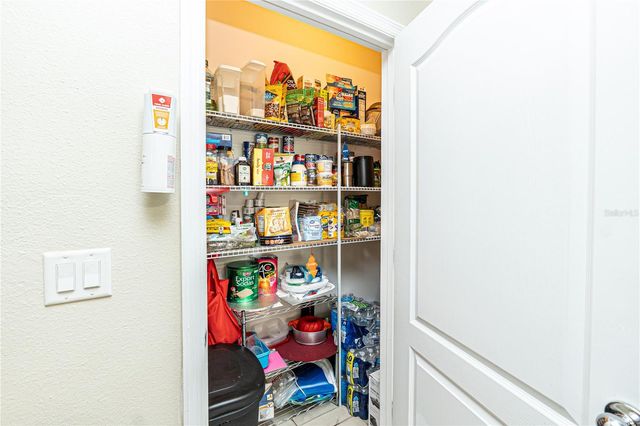 260 SUNNY DAY WAY, Davenport, FL 33897