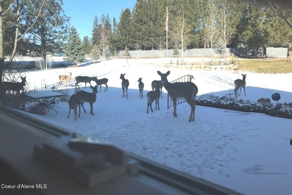 2177 E Totten Ln, Dalton Gardens, ID 83815 photo 27