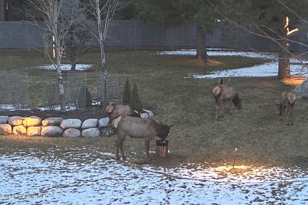 2177 E Totten Ln, Dalton Gardens, ID 83815 photo 43