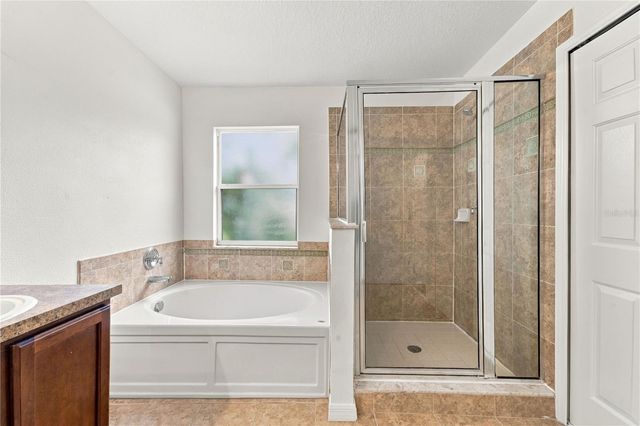 3247 CHESSINGTON DRIVE, Land O Lakes, FL 34638