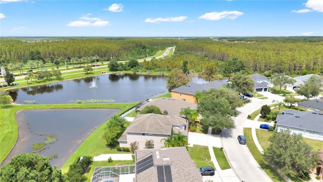 3247 CHESSINGTON DRIVE, Land O Lakes, FL 34638