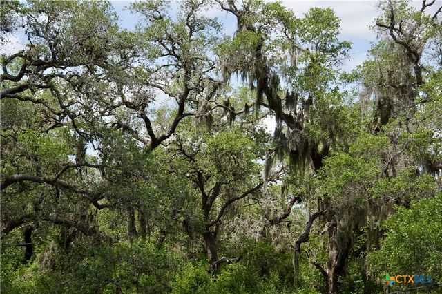 000 Zengerle Rd Tract 13, Thomaston, TX 77954