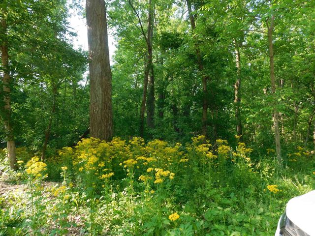 6024 N County Road 800 West, Yorktown, IN 47396