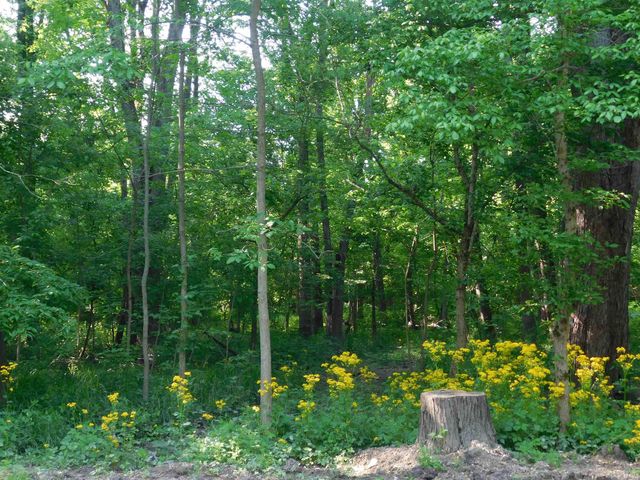6024 N County Road 800 West, Yorktown, IN 47396