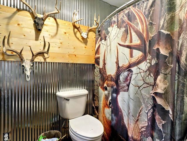 13150 Mo 19, Alton, MO 65606