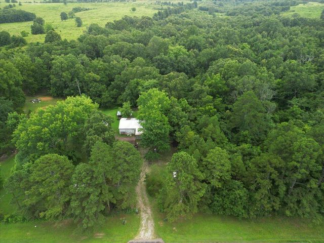 13150 Mo 19, Alton, MO 65606