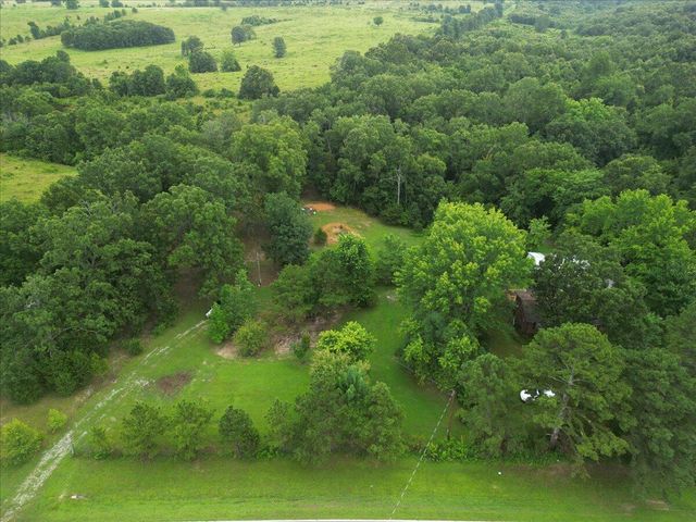 13150 Mo 19, Alton, MO 65606