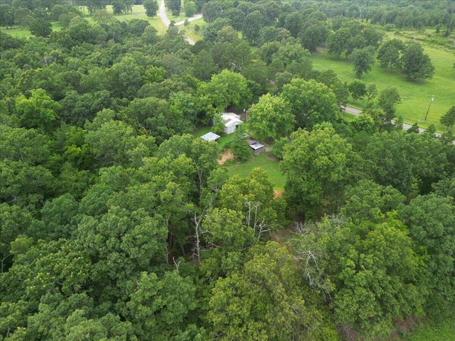 13150 Mo 19, Alton, MO 65606