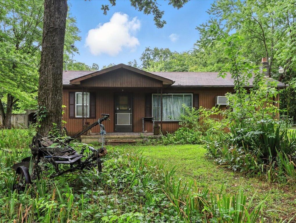 13150 Mo 19, Alton, MO 65606