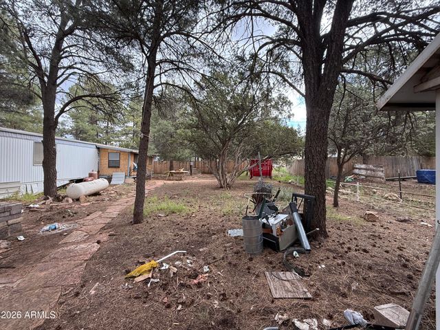 2953 WILDCAT Trail, Overgaard, AZ 85933