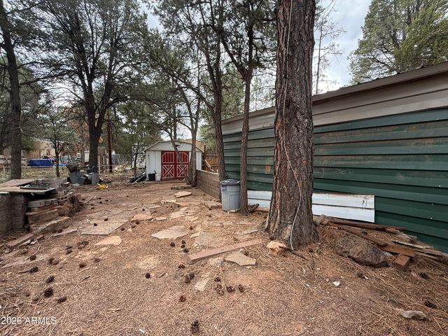 2953 WILDCAT Trail, Overgaard, AZ 85933