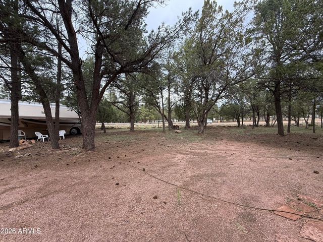 2953 WILDCAT Trail, Overgaard, AZ 85933