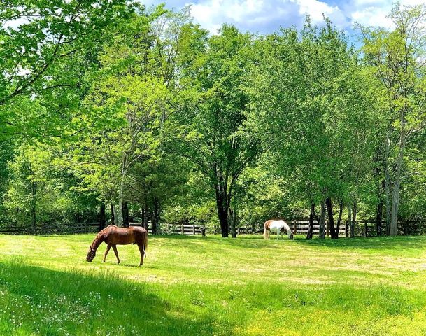 527 Reads Lake Road, Chattanooga, TN 37415