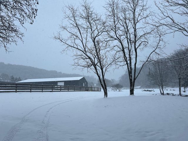 527 Reads Lake Road, Chattanooga, TN 37415
