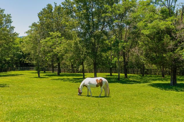 527 Reads Lake Road, Chattanooga, TN 37415
