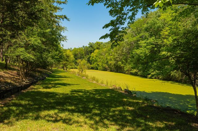 527 Reads Lake Road, Chattanooga, TN 37415