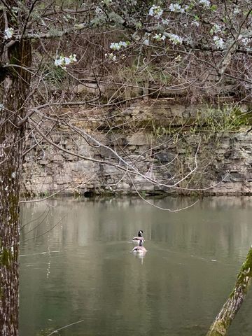527 Reads Lake Road, Chattanooga, TN 37415