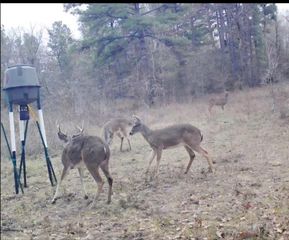 0 Archie Road, Huntsville, TX 77340