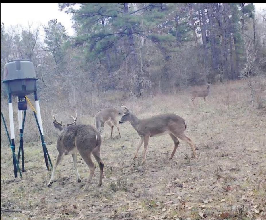 0 Archie Road, Huntsville, TX 77340