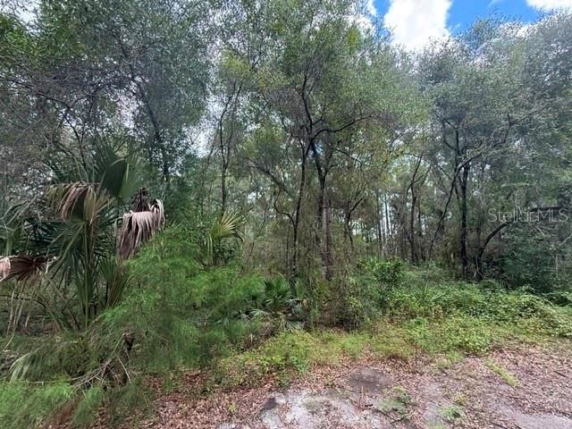 189 N OAKWOOD TERRACE, Inverness, FL 34453