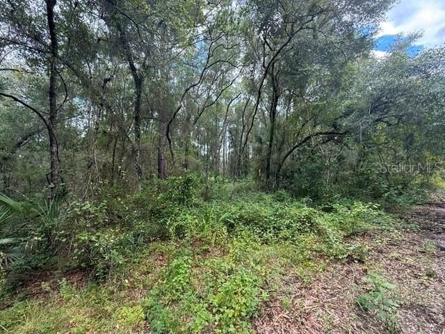 189 N OAKWOOD TERRACE, Inverness, FL 34453
