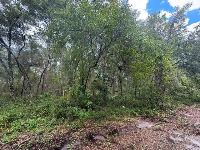 189 N OAKWOOD TERRACE, Inverness, FL 34453