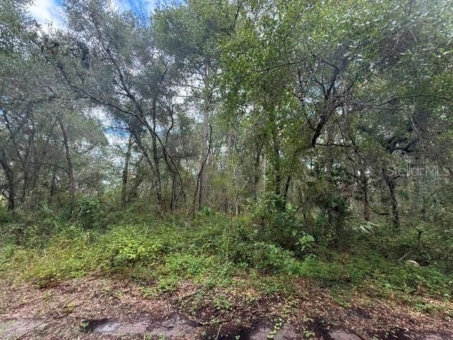 189 N OAKWOOD TERRACE, Inverness, FL 34453
