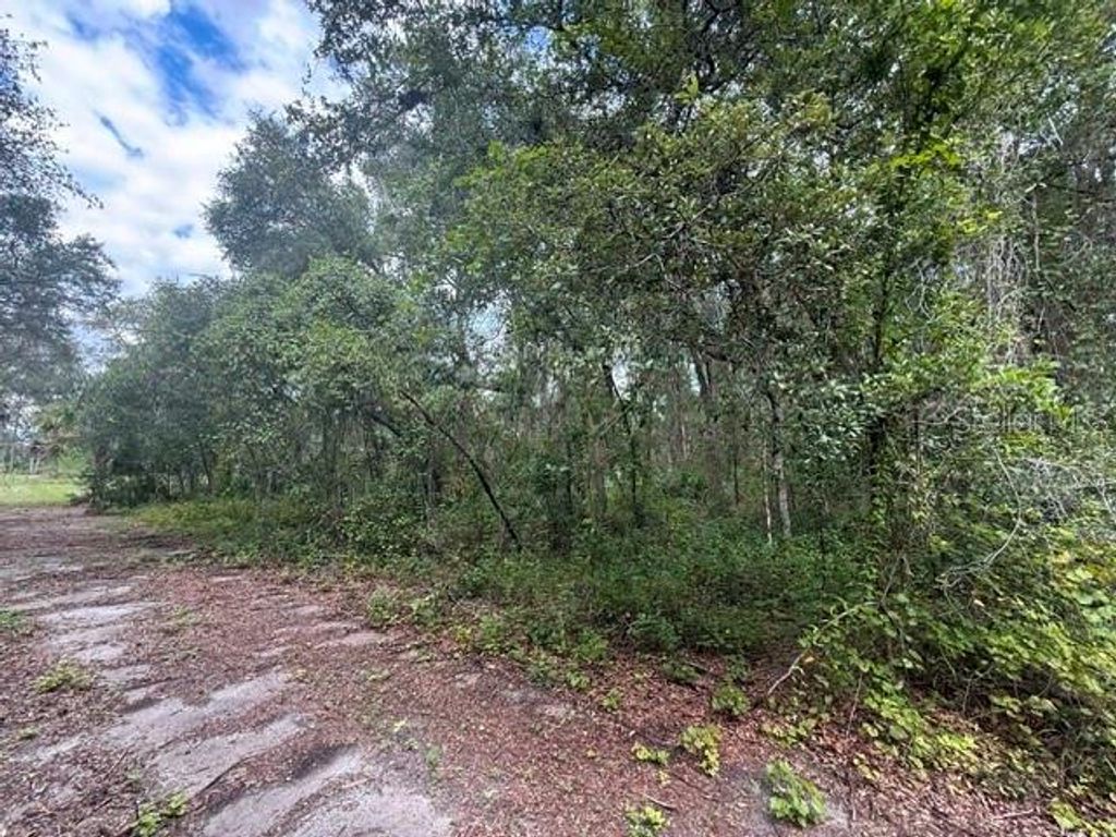 189 N OAKWOOD TERRACE, Inverness, FL 34453
